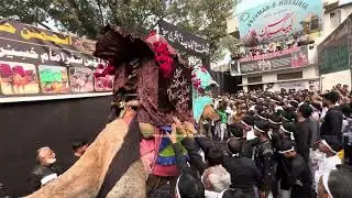 4 Shaban Juloos Safar-E-Imam Husain (a.s) 2026 | 4 Shaban Zaidpur Barabanki | 2026