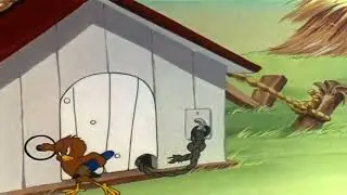 Cal Dalton Animation In 