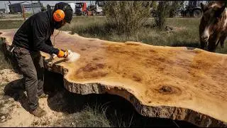 We Cut a Mappa Burl &ndash; You Won&rsquo;t Believe What&rsquo;s Inside