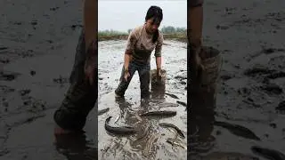 Village girl mud fishing