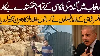 Wheat Procurement Policy of Punjab Govt | wheat support price in Punjab pakistan