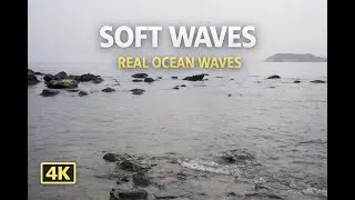 🌊 Soft Ocean Waves for Gentle Sleep &bull; Calm Sea Sounds &bull; 11 Hours (No Music)