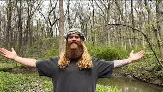 Welcome to the Grounded Visionary channel. May this message and channel bring you value. Gratitude.