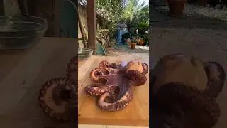 Do you know this recipe?? From the #sea 🌊 straight to the table! #octopus #seafood #asmr #italian