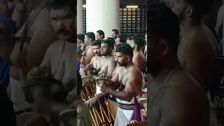 #pancharimelam #ilathalam #koodalmanikyam #chendamelam #travel #festival #irinjalakuda #viralshorts