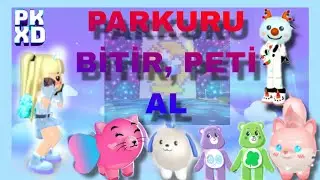 PK XD| Ödüllü Pet Yarışması ✨ 