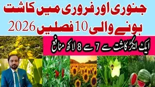 January to February Farming Guide 2026 | Top High-Profit Crops 2026 | January to February Profita...