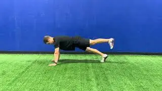 High Plank w  Alternating Leg Raise