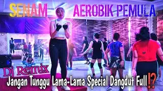 Senam Aerobik Pemula Dj Remix Jangan Tunggu Lama-Lama Special Dangdut Full⁉️ @LiaMarliaChannel 