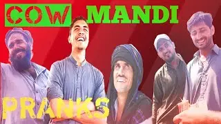 COW MANDI prank 2025 | chori k janwar ka hungama #trending #cowmandi