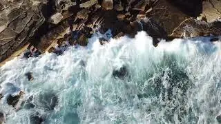 Ocean Waves & Seagulls 🌊 Relaxing Beach Sounds | Sleep & Relax