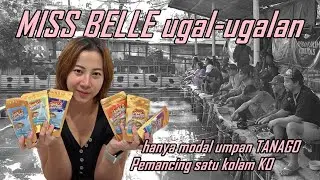 MISS BELLE X TANAGO KOMPETISI - UMPAN TANAGO SUPER WANGI MENGGILA DI PEMANCINGAN CITRA, BANDUNG