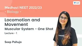 Locomotion and Movement | Muscular System One Shot | L1 | NEET 2022/23 | Seep Pahuja
