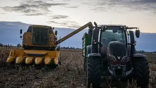 KUKURYDZA NA ZIARNO 2025! Granica opłacalności... New Holland TC5070!