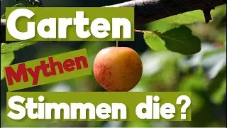Gartenmythen, wahr oder falsch?