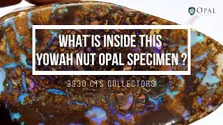 What is inside? Yowah Nut Specimen | Opal Auctions