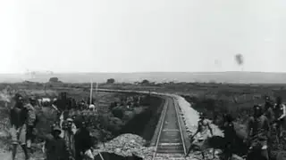 The Dandelion Fields - Daughters of Congo