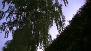 Vogelzang lenteconcert om 5u27 's morgens in Zorgvlied.