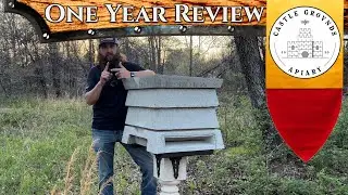The OFFICIAL 1 Year Review of the Concrete Beehive - Beegin Bee Bunka