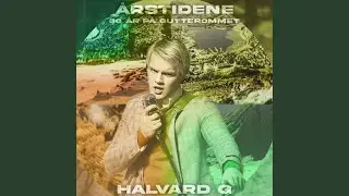 Fly Avsted