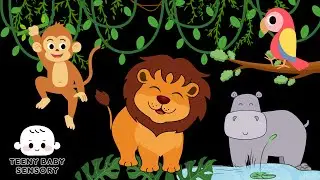 Jungle Safari Baby Sensory Video | Bright Colors, Fun Music & Animals for Babies and Toddlers