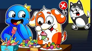 RAINBOW FRIENDS, EXPLORING the CANDY KINGDOM: A Journey of HOO DOO?! | Hoo Doo Rainbow Animation