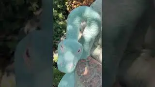 Как я встретила лохнесское чудовище #валяние #рукоделие #lochnessmonster