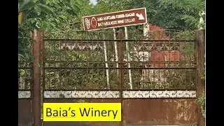 Baias Winery Imereti Region of Georgia July 2025   Made with Clipchamp