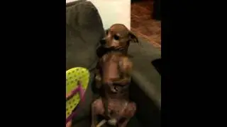 Seninha de castigo levando bronca da mamãe !