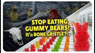 STOP Eating Gummy Bears! How They Are REALLY Made 🤮 (Shocking Process)