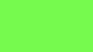 Green Screen |Yeşil Ekran |Green Screen 12 Hours|Yeşil Ekran 12 Saat|Background|Backdrop|Screensaver