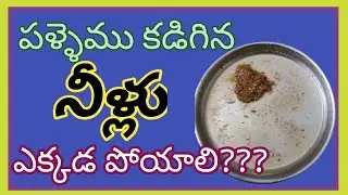 పల్లెము కడిగిన నీళ్లు పోసేటప్పుడు ఆ తప్పు చేయొద్దు | vastu tips home |@VastuTipsTelugu