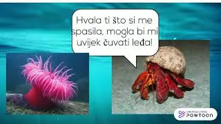SIMBIOZA