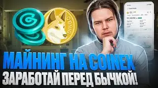 Майнинг токенов CET: DINGO на бирже CoinEx!!