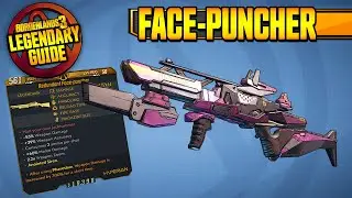FACE-PUNCHER | EDIT: See Pinn d Comment | Legendary Item Guide & Drop Location [Borderlands 3]