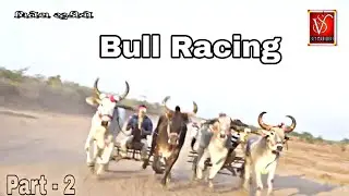 बैल दौड़ | BULL RACE IN HAMIRAMORA,MUNDRA | PART - 2