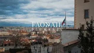 Faodail -  Plumeria