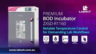 Premium BOD Incubator - ZXSD-R1160 from Labwit