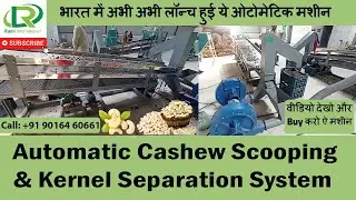 Automatic Cashew Scooping Machine | Cashew Processing Machine By Rami International
