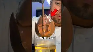 Comprei um F&oacute;ssil de verdade! #shorts
