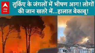 Turkiye Forest Fire: तुर्किए के जंगलों में आग का क़हर, आसमान तक उठी लपटें, आखिर कैसे लगी आग?