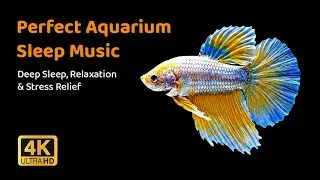 Perfect Aquarium Sleep Music,  Deep Sleep.