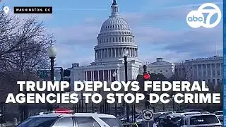 DC residents react to President Trump deploying federal law enforcement to stop crime