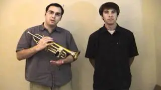 Идеальный тюнер Pitcher &mdash; студенческий конкурс проектов NI LabVIEW 2011 года