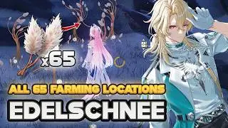 All 65 Edelschnee Locations in Roya Frostlands | Wuthering Waves