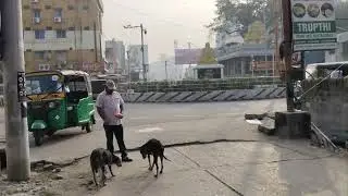 Tirupati Animal Lover🥰 #viral #animals #viralvideos #tirupati 