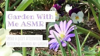 Garden With Me ASMR | Quiet Vlog | Blackberries Broad Beans and Salad