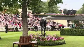 Royal Ascot 2025 - The Royal Procession arrives in the Parade Ring
