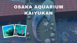 OSAKA AQUARIUM KAIYUKAN