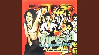 Tu Voz, Concierto